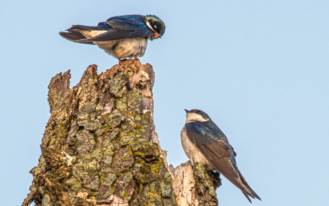 2025 Photography Contest Winners