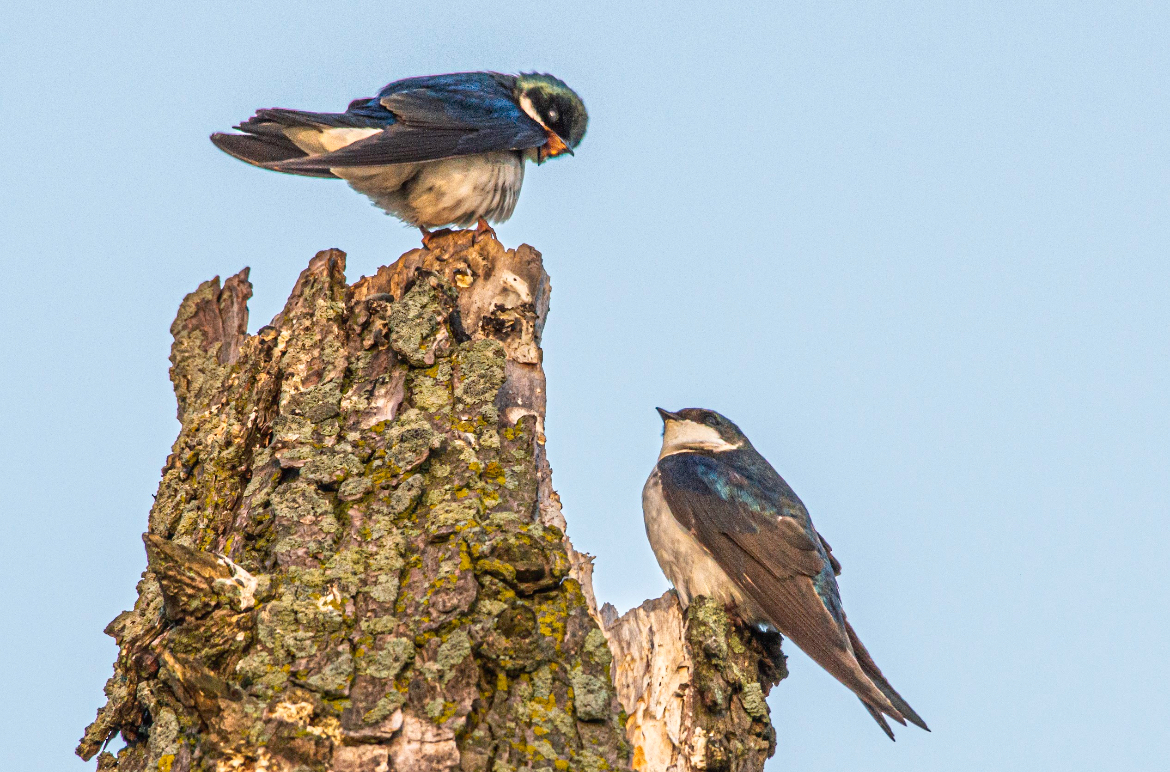 2025 Photography Contest Winners